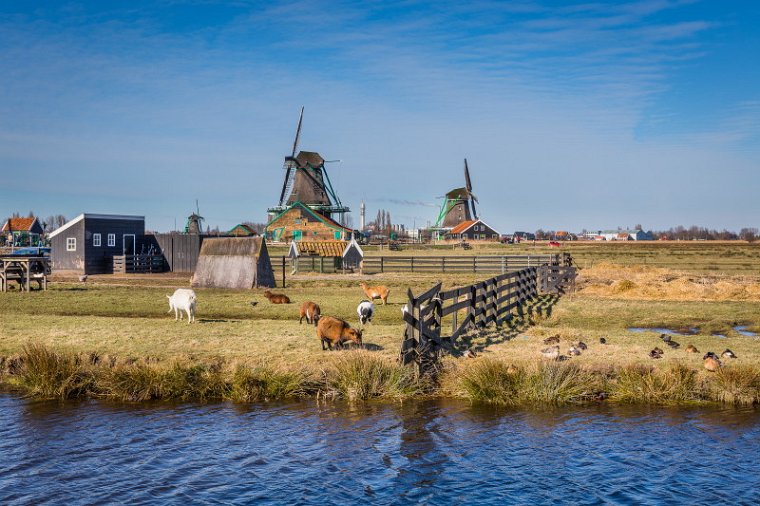 27 Zaanse Schans.jpg